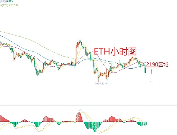 泡沫褪去后的Web3众生相：我在Token2049见证的行业寒冬