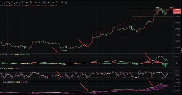 从零到850U：我的BTC像素战争淘金记