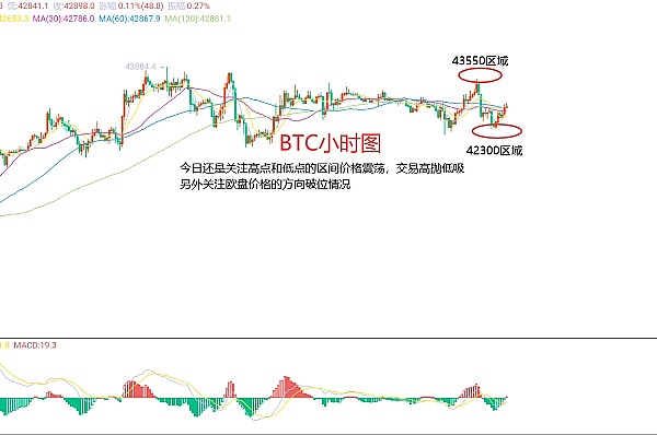以太坊巨鲸们的心理账本：DAT财库何时会砸盘？