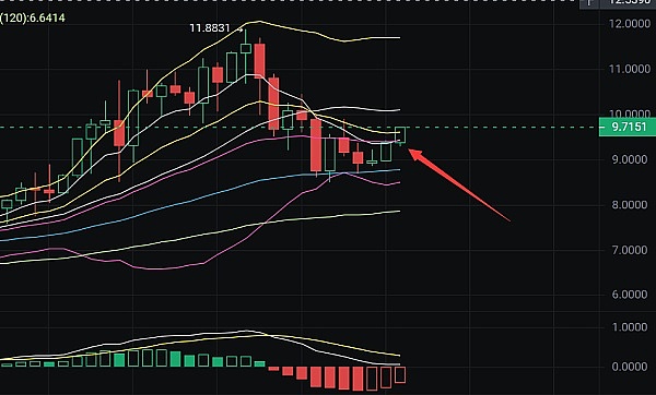深度解析：MultiversX(EGLD)如何在区块链红海中开辟新赛道