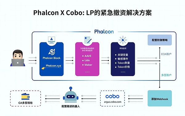 加密世界的十字路口：原生玩家与跨界新贵的生存法则